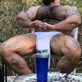 MuscleBull